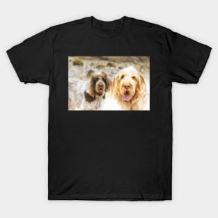 Beach hair Spinone T-Shirt